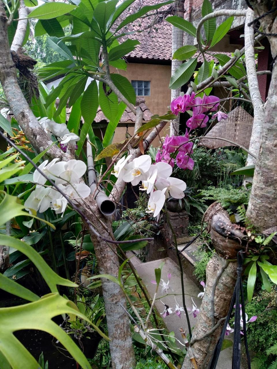 Umah Ubud Guest House Luaran gambar